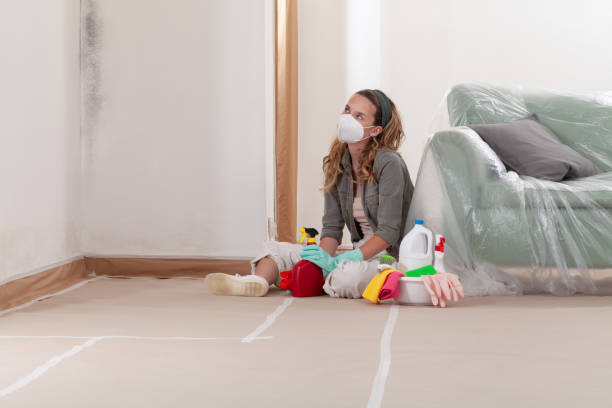 Reliable Mold Remediation contractor in Kentucky, KY by WQB Mold Removal